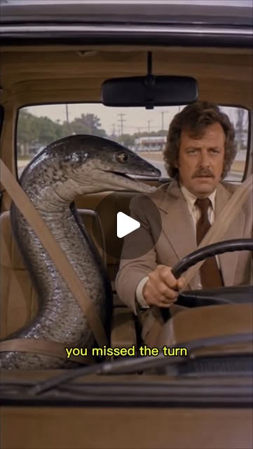 Michael & The Eel S01E02 — It's always your turn, Michael