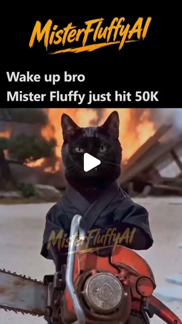 Mister Fluffy S01E15 — Fifty Thousand Followers