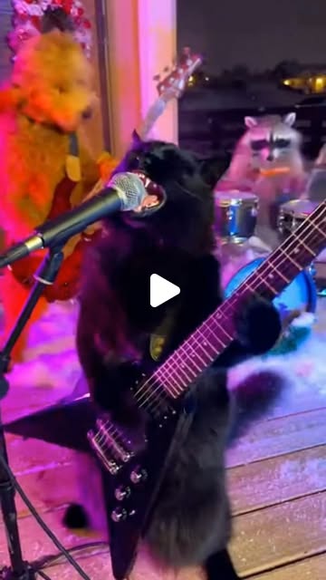 Shred the Night S01E14 — SHRED THE NIGHT!
