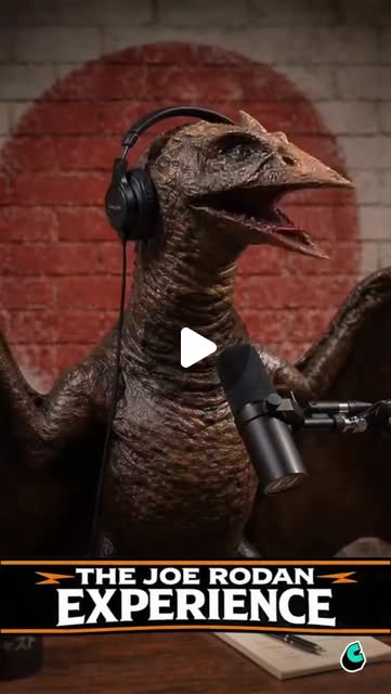 The Joe Rodan Experience S01E46 — Crypto, wing polish, never-ending podcast