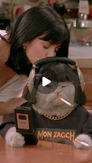 Bad Cat S01E02 — POV: Secret Life
